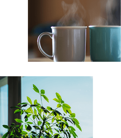 マグカップと観葉植物
